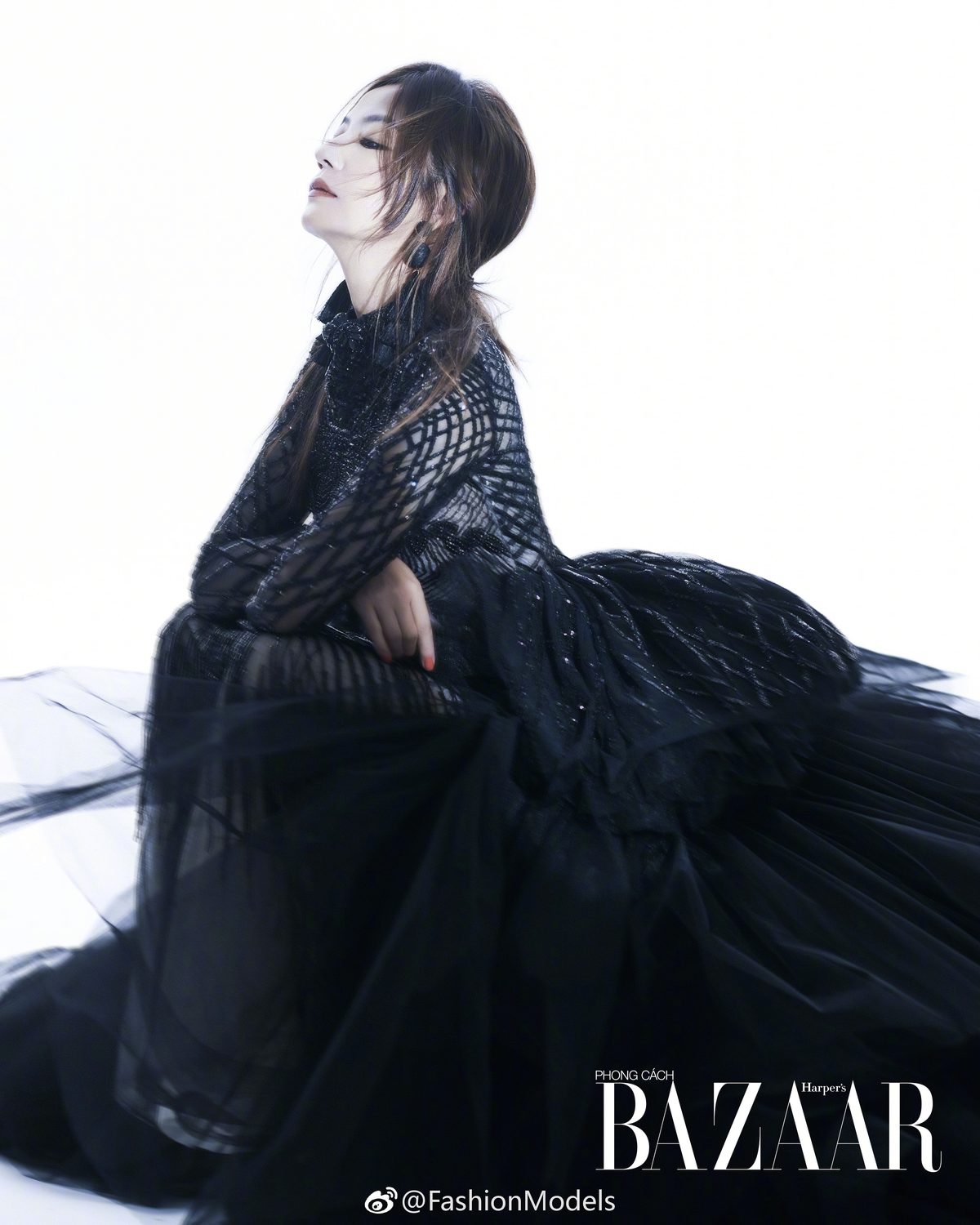 Wei Zhao HD画像/フォトギャラリーダウンロード #1709111