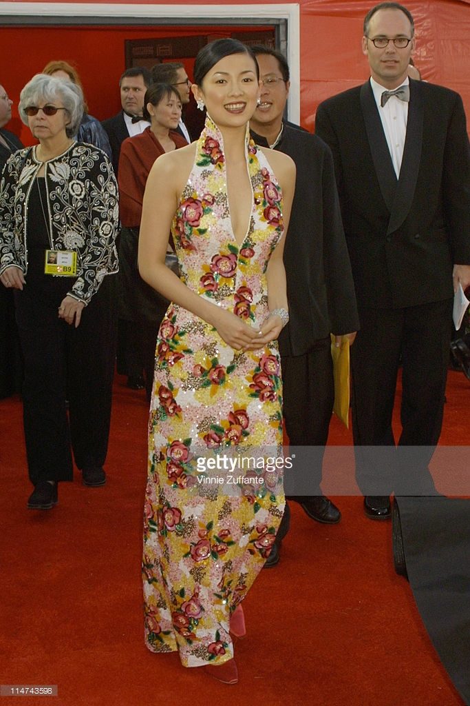 장쯔이 HD 이미지/사진 갤러리 다운로드 #1049391