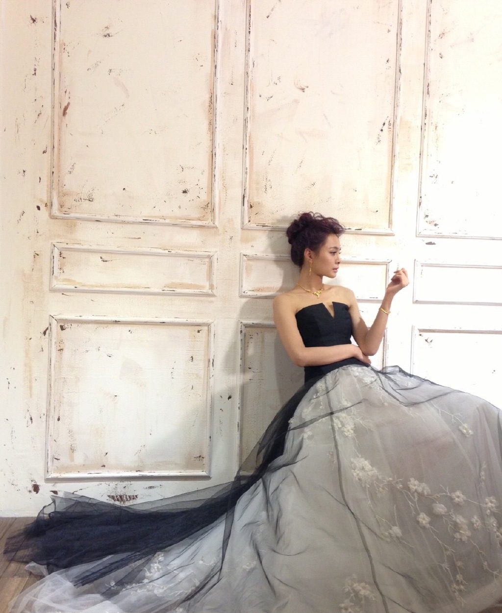 Mengchen Shen HD Images/Photo Gallery Download #6711576