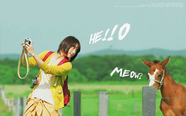 新垣结衣 高清写真/照片下载 #1659122