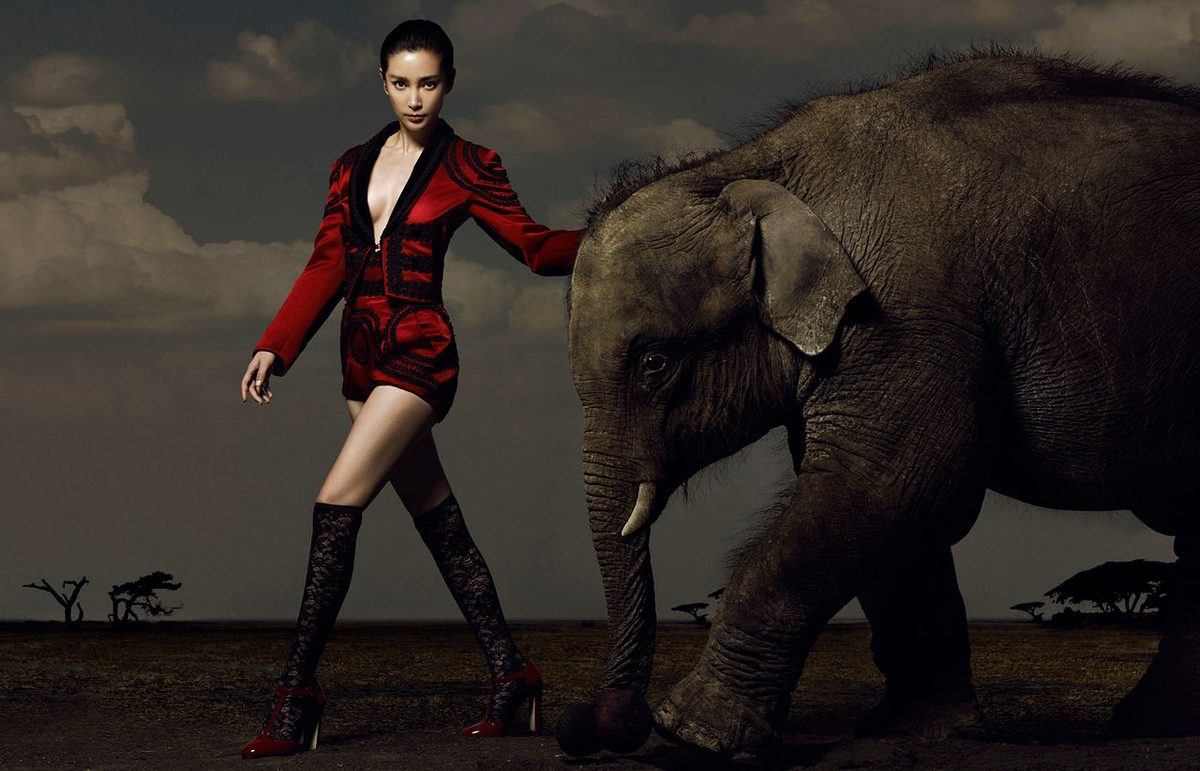 Bingbing Li HD Images/Photo Gallery Download #1402296