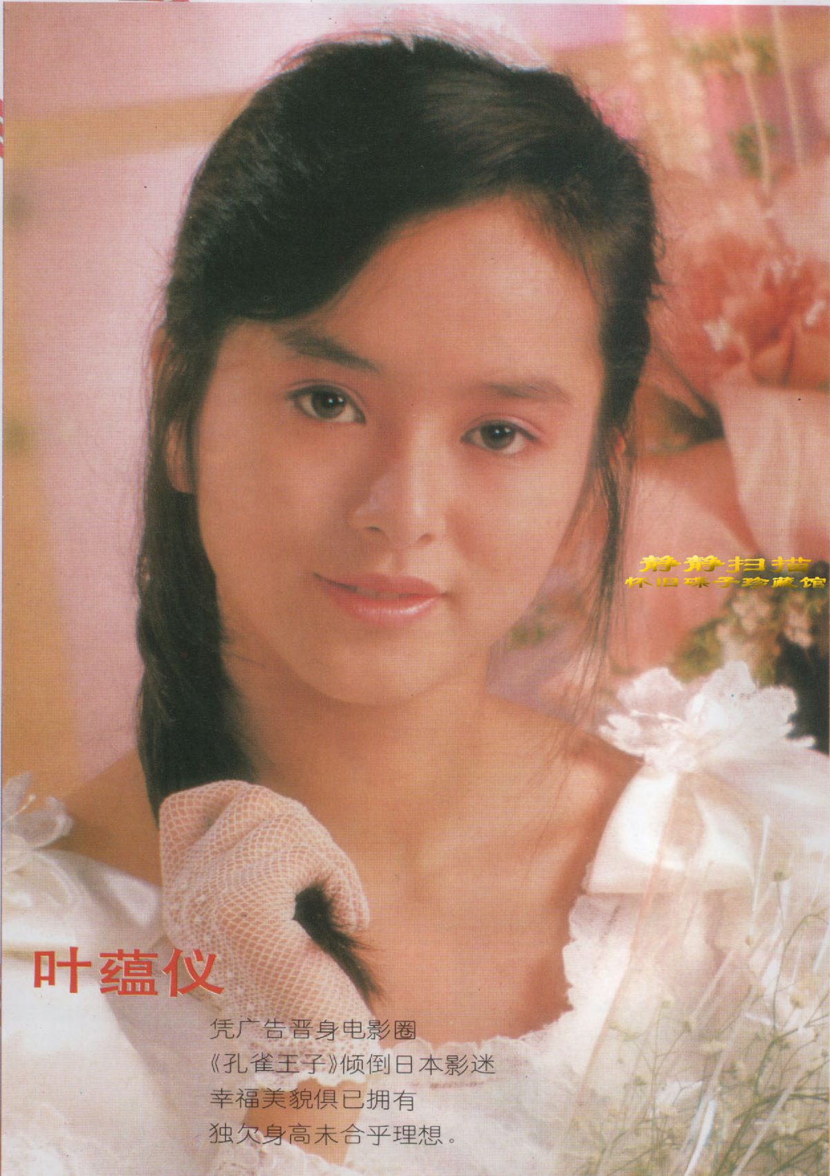 Gloria Yip HD Images/Photo Gallery Download #623255