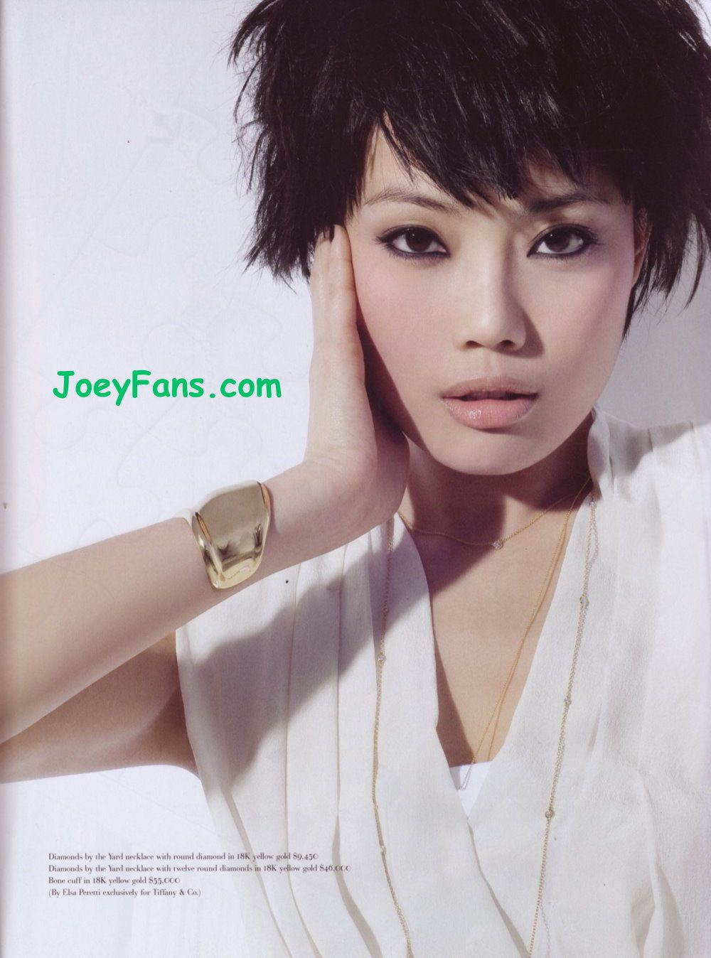 Joey Yung HD Images/Photo Gallery Download #688886