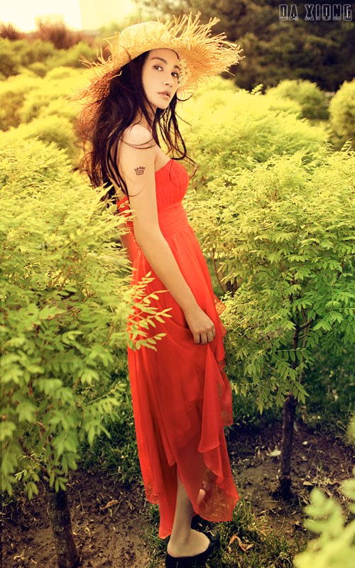 杨雪 高清写真/照片下载 #3489720