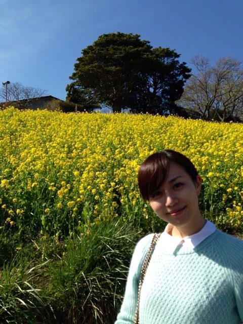 Manami Higa HD Images/Photo Gallery Download #6747722