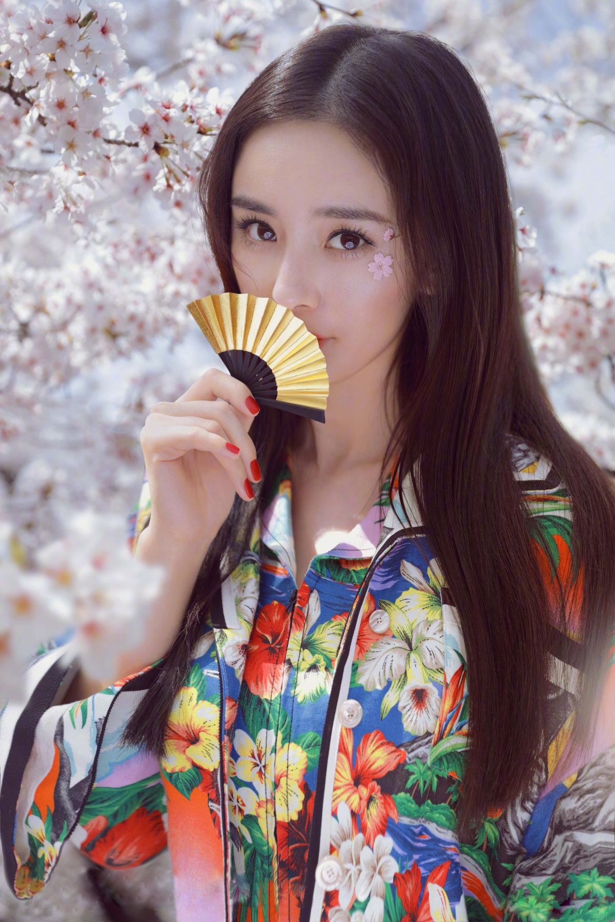 Mi Yang HD Images/Photo Gallery Download #1525082