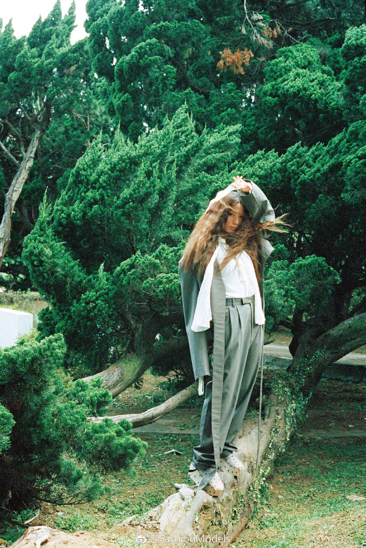Hebe Tien HD Images/Photo Gallery Download #6971614