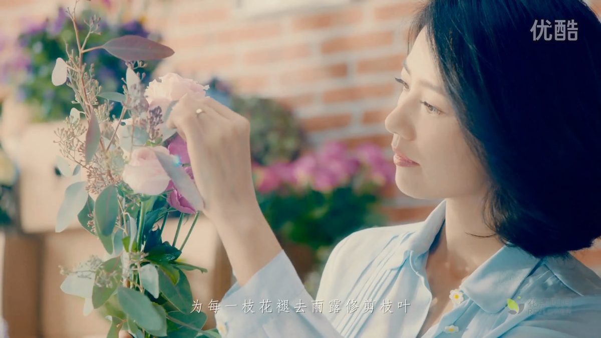 高圆圆 高清写真/照片下载 #669929