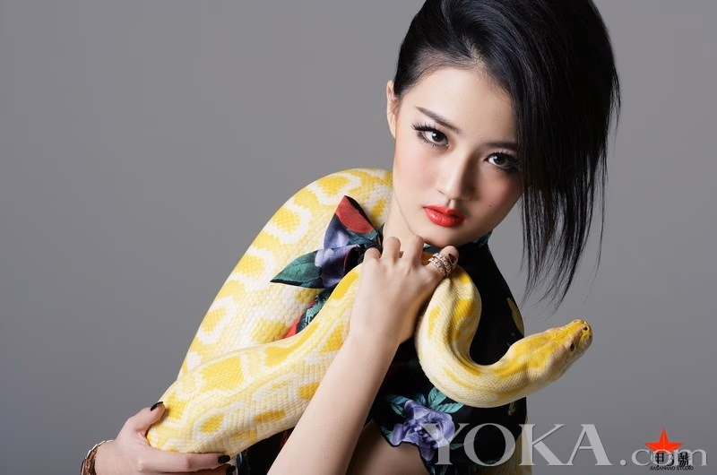 徐璐 高清写真/照片下载 #3417357