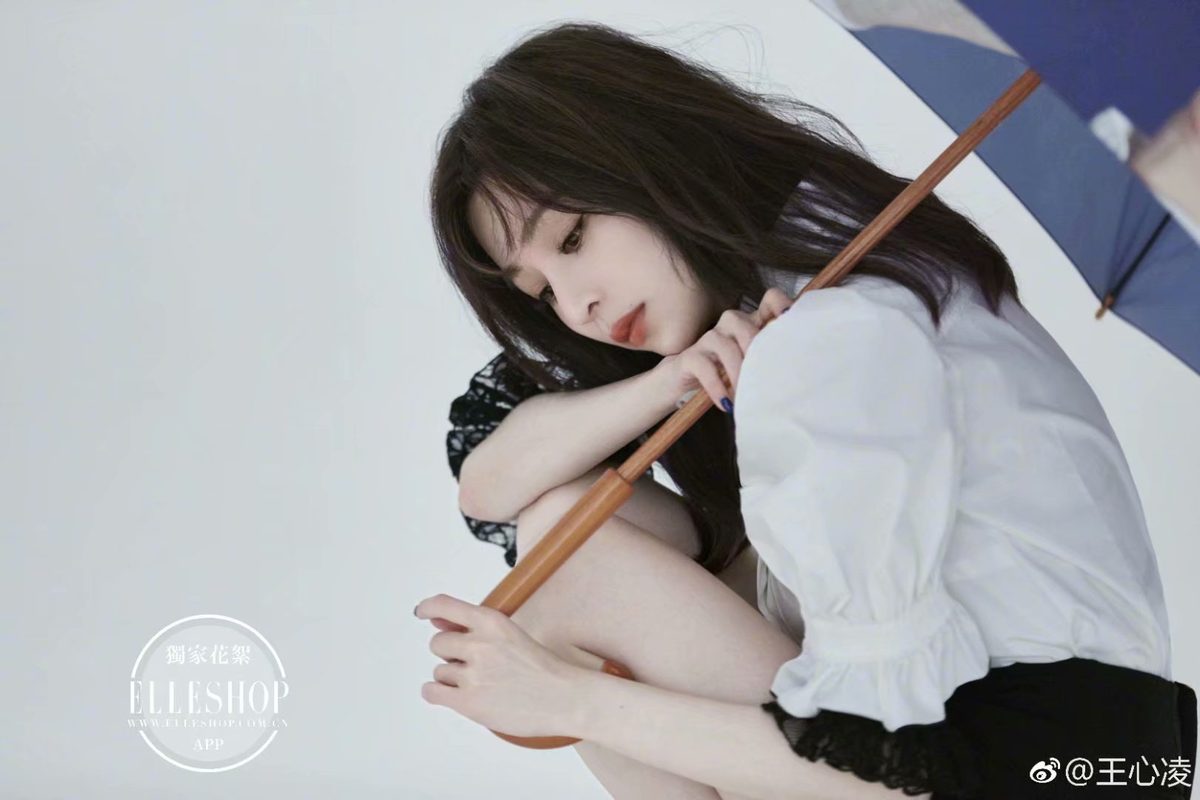왕심릉 HD 이미지/사진 갤러리 다운로드 #1847334