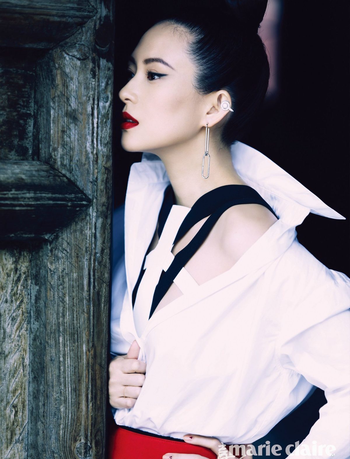 Ziyi Zhang HD Images/Photo Gallery Download #1042462