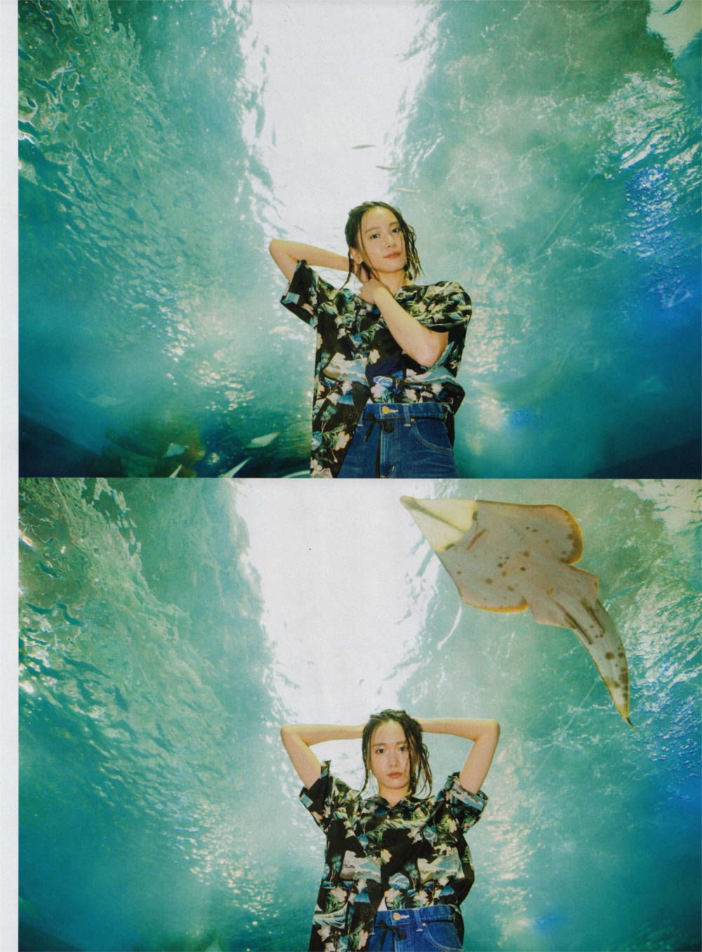 新垣结衣 高清写真/照片下载 #846445