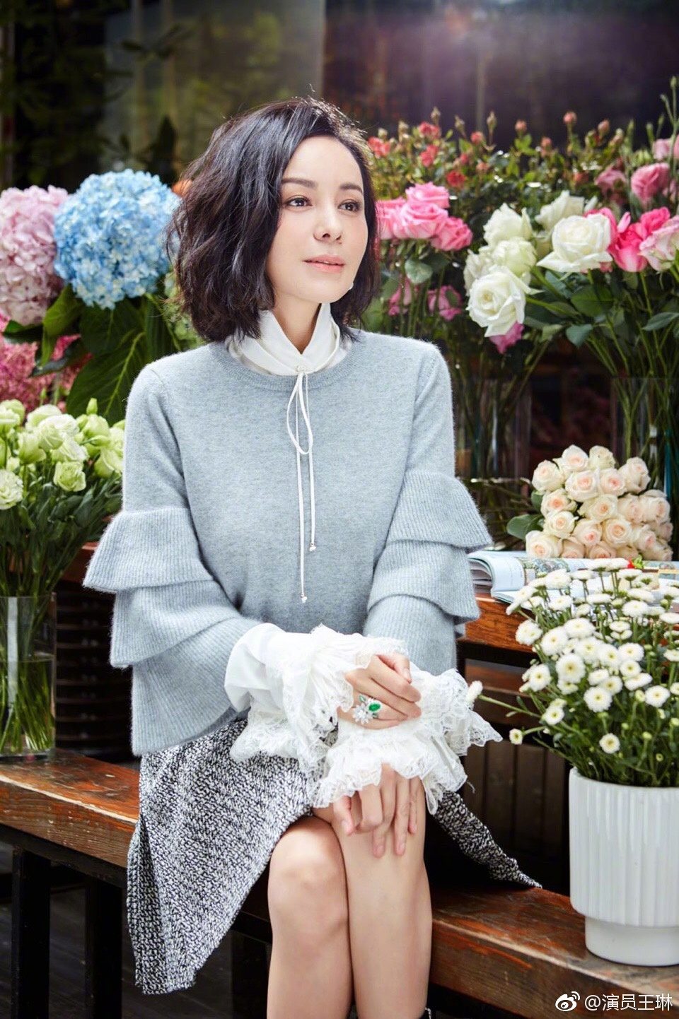 Lin Wang HD Images/Photo Gallery Download #826320