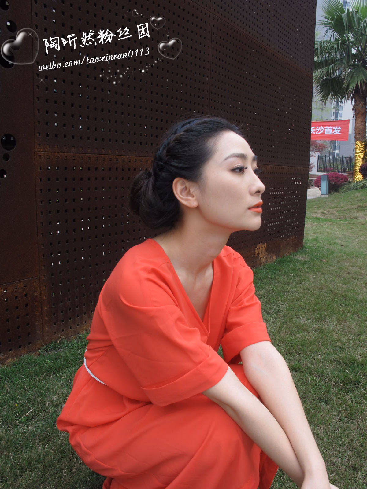 陶昕然 高清写真/照片下载 #3411217