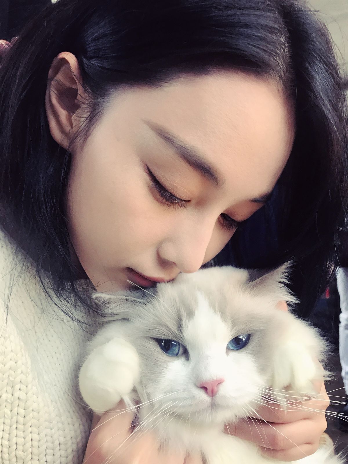 장신위 HD 이미지/사진 갤러리 다운로드 #6637342