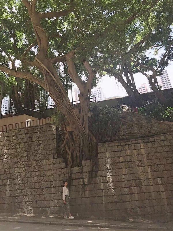 カオ・ユアンユアン HD画像/フォトギャラリーダウンロード #668414