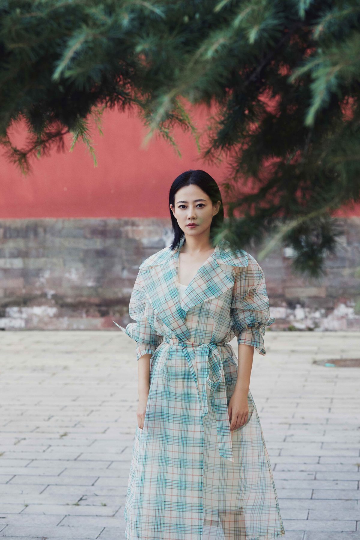 Zhuo Tan HD Images/Photo Gallery Download #1960318