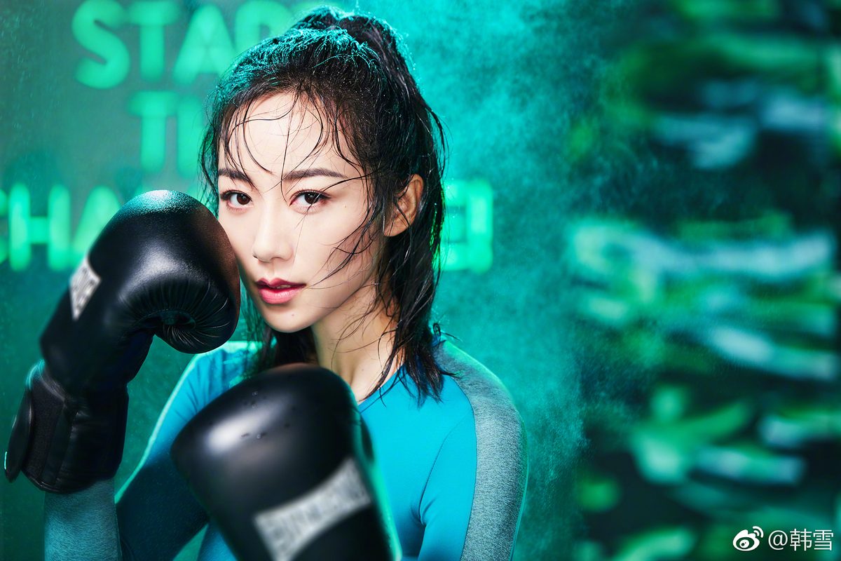 한쉐 HD 이미지/사진 갤러리 다운로드 #6712247