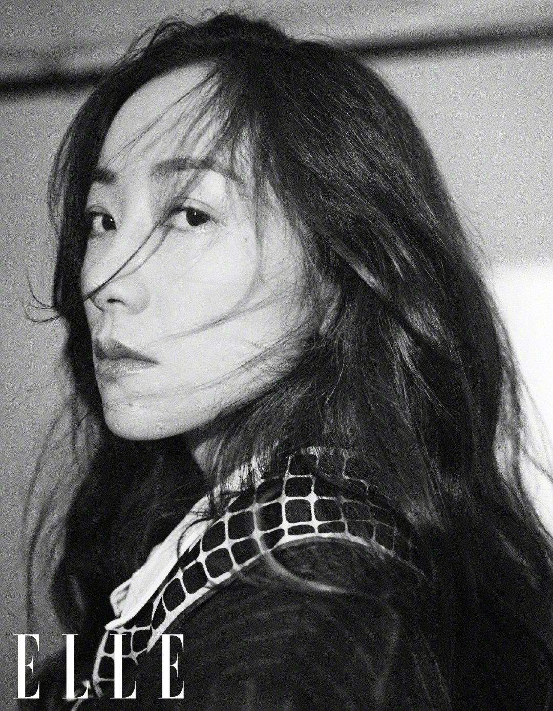 한쉐 HD 이미지/사진 갤러리 다운로드 #6346328