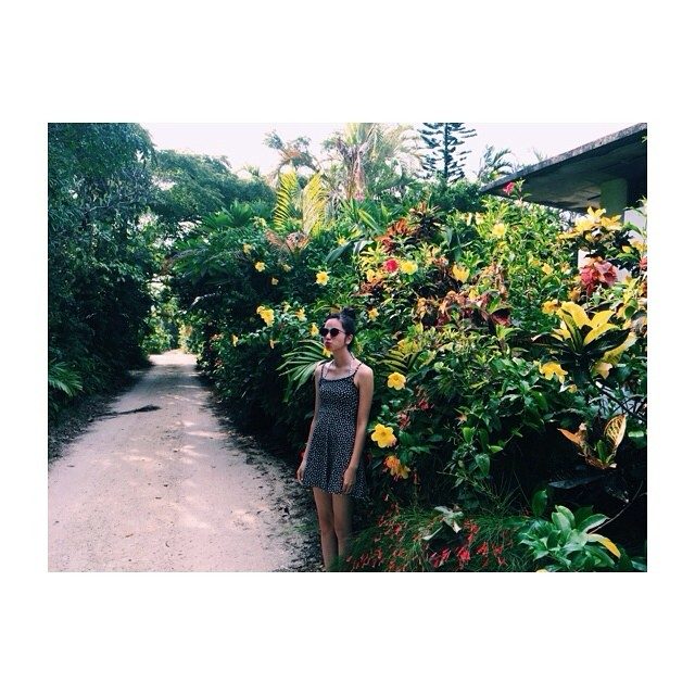 小松菜奈 高清写真/照片下载 #4387341