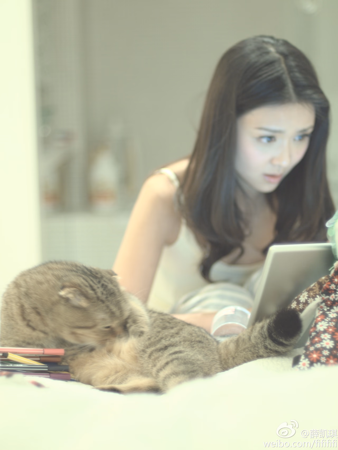 Fiona Sit HD Images/Photo Gallery Download #3510603