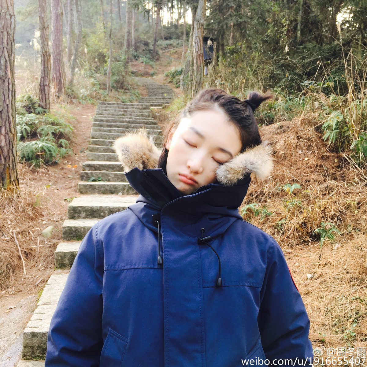 Dongyu Zhou HD Images/Photo Gallery Download #1907354