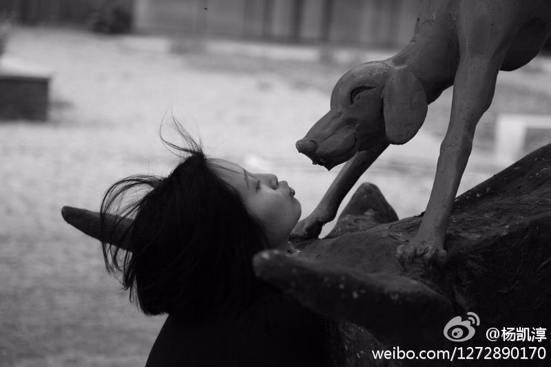 杨凯淳 高清写真/照片下载 #3472555