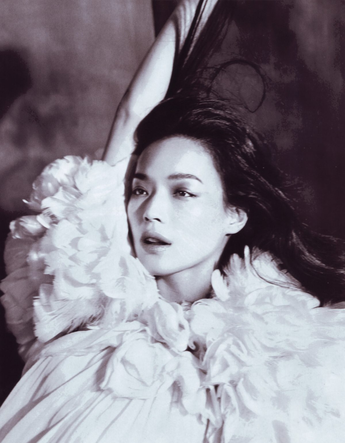 Shu Qi HD Images/Photo Gallery Download #6722870