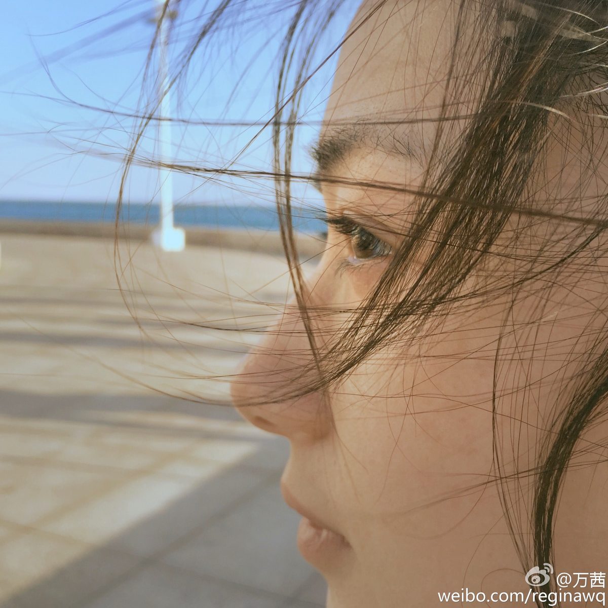 Regina Wan HD Images/Photo Gallery Download #2056255