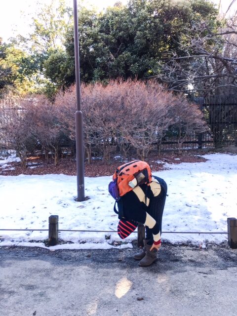 Rena Nounen HD Images/Photo Gallery Download #3507241