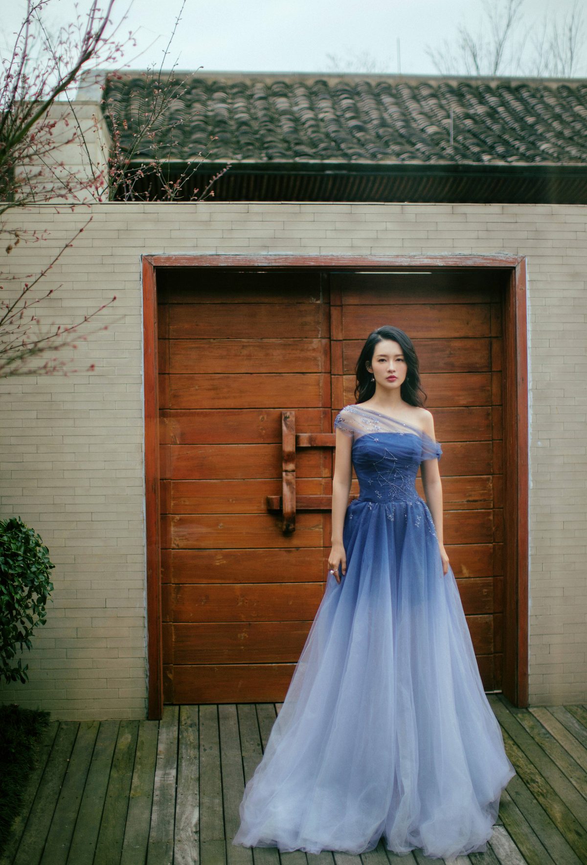 Qin Li HD Images/Photo Gallery Download #1734090