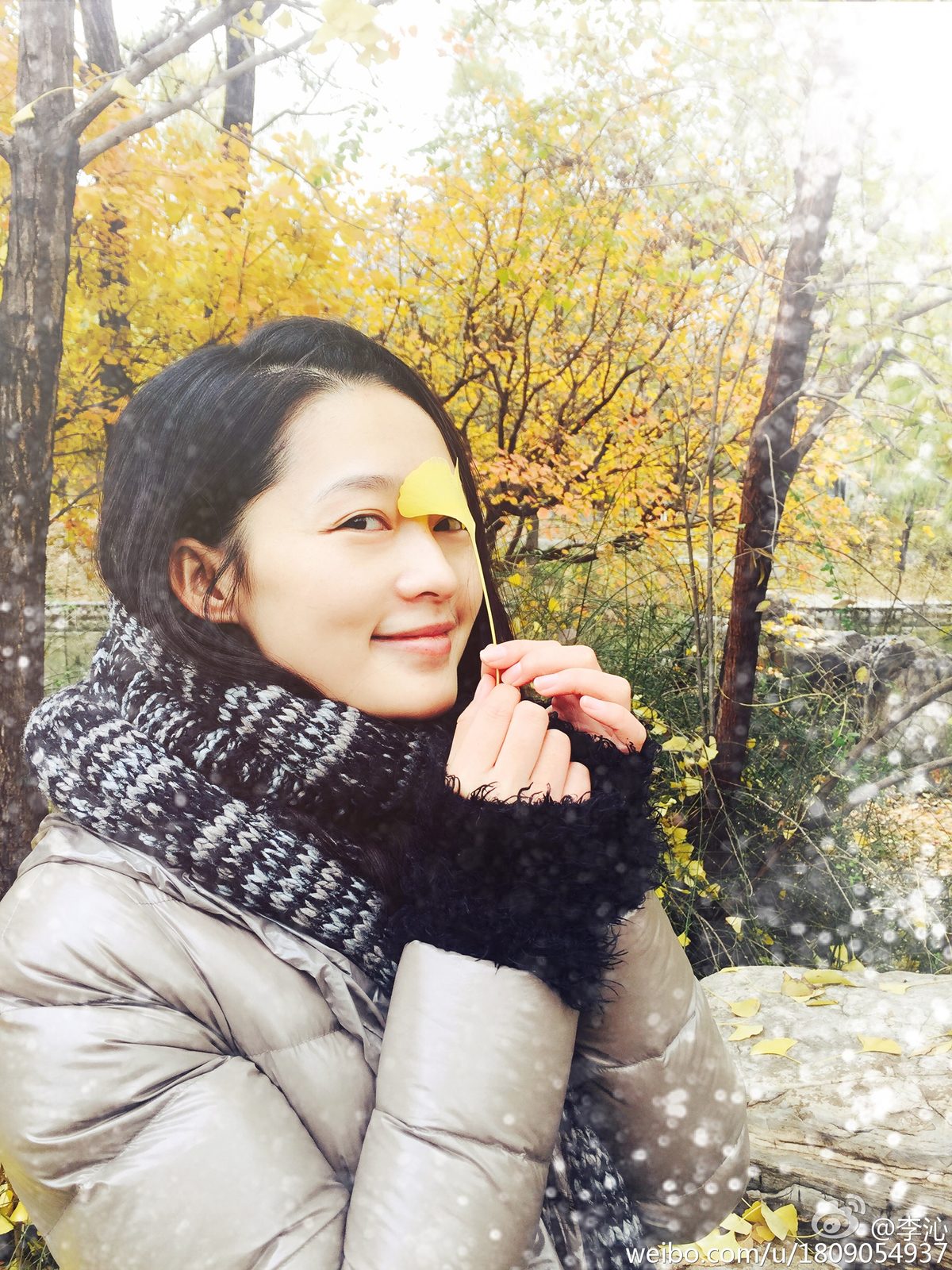 Qin Li HD Images/Photo Gallery Download #6762962