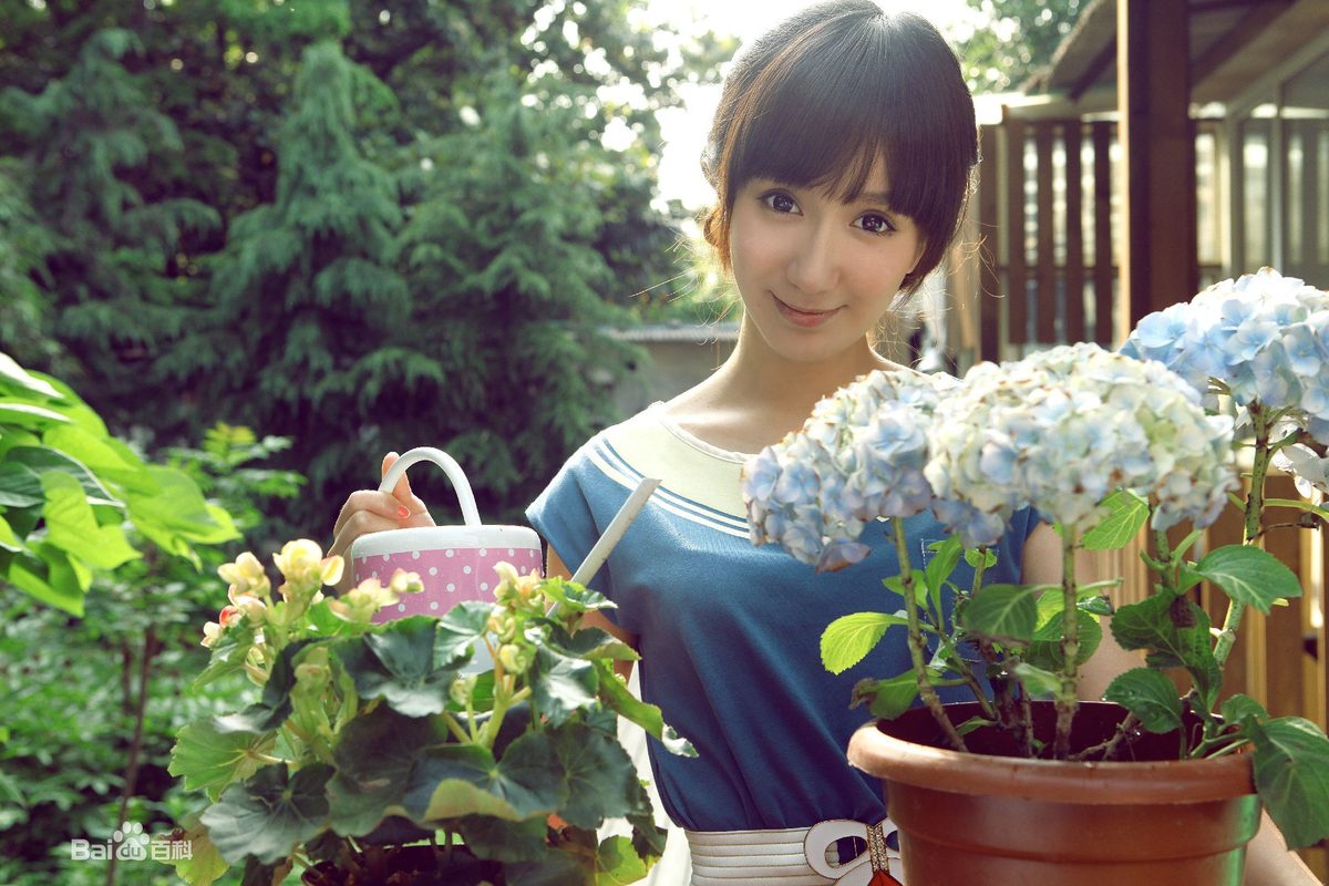 Yixiao Lou HD Images/Photo Gallery Download #1991500