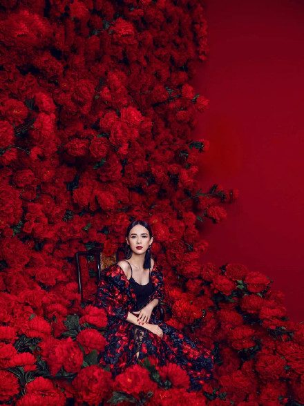 Ziyi Zhang HD Images/Photo Gallery Download #1042549