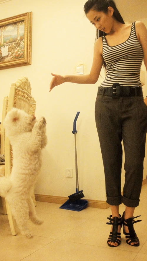 吴靖萱 高清写真/照片下载 #3450528