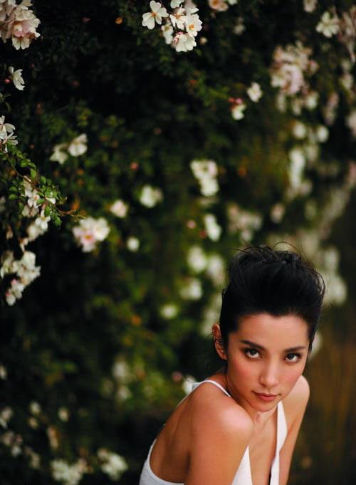 Bingbing Li HD Images/Photo Gallery Download #1062824