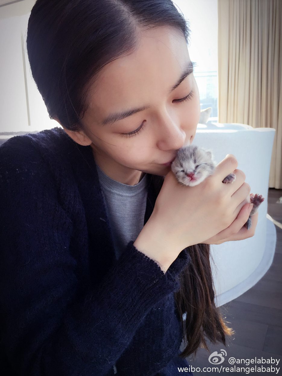 Angelababy HD Images/Photo Gallery Download #6647437
