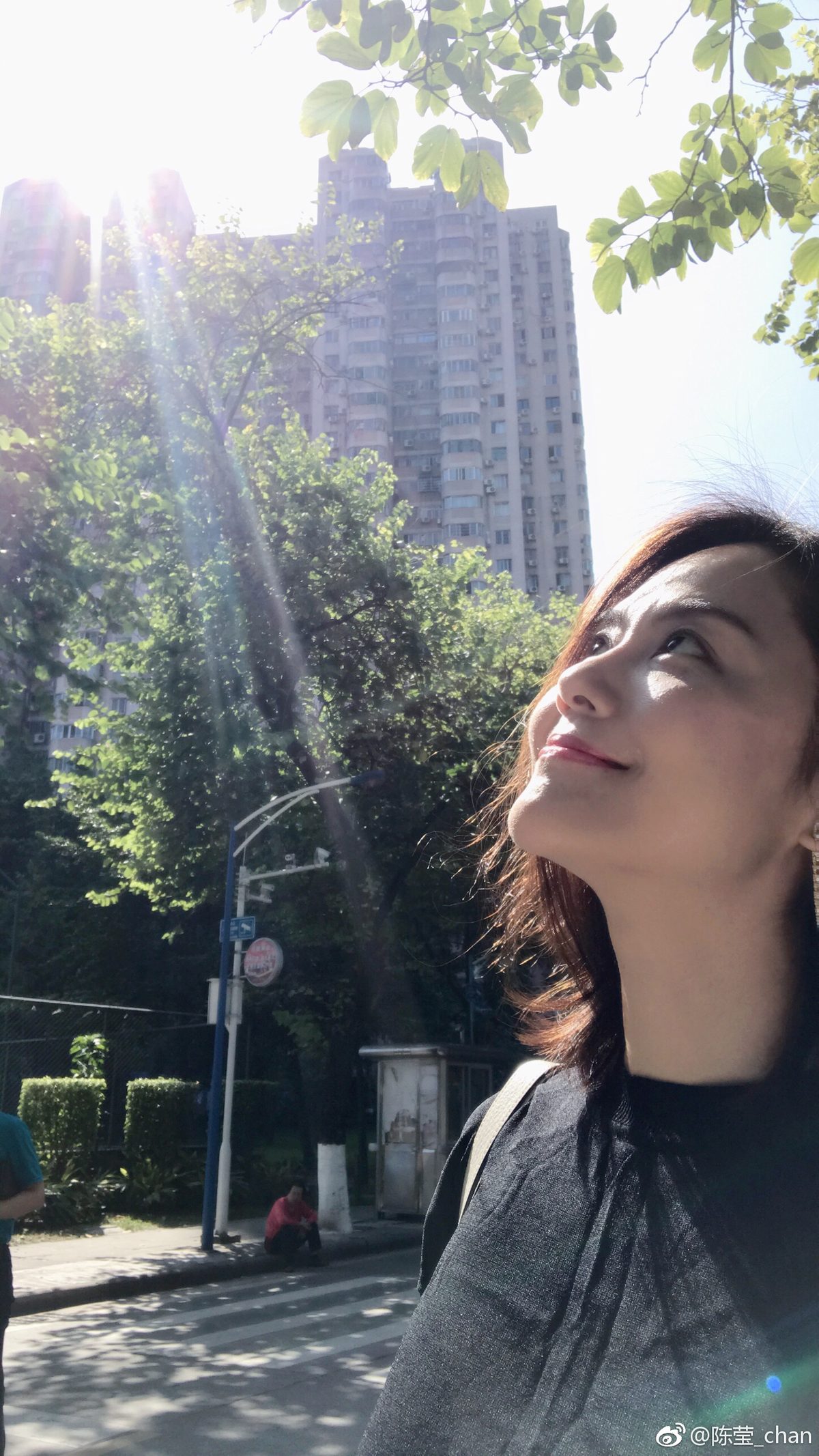 진영 HD 이미지/사진 갤러리 다운로드 #6795462