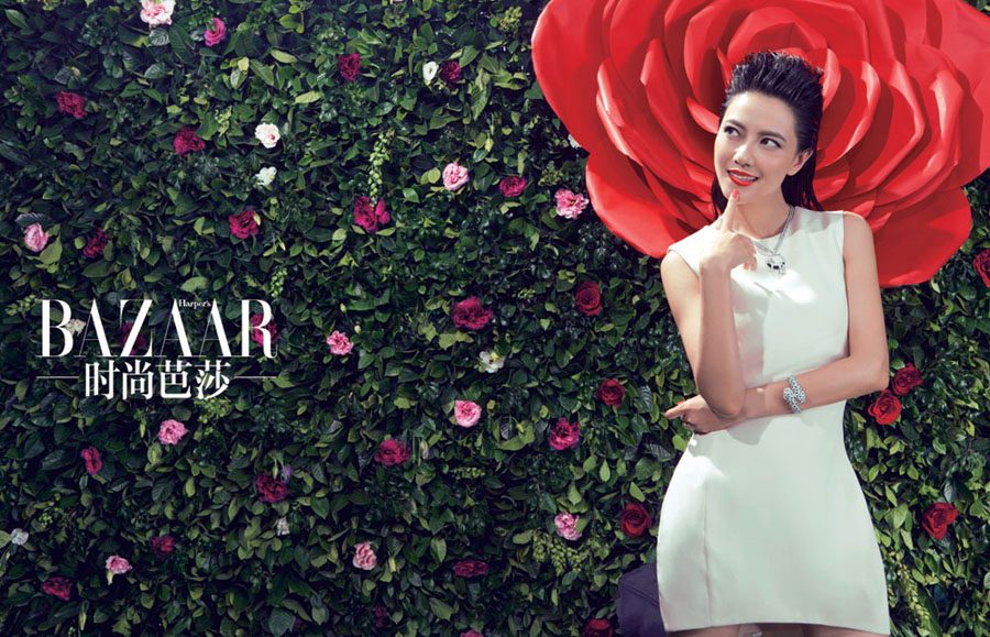 高圆圆 高清写真/照片下载 #767650