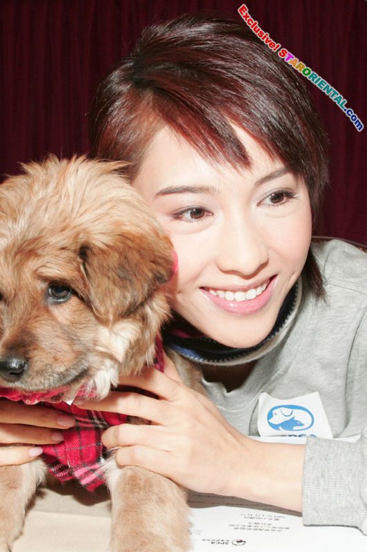 Gigi Lai HD Images/Photo Gallery Download #755220