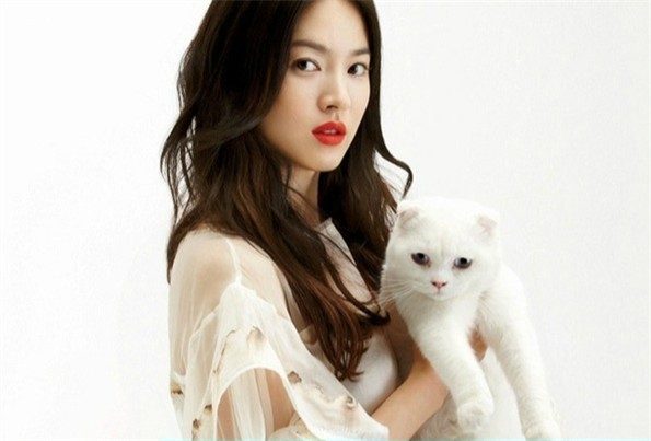 Hye-kyo Song HD Images/Photo Gallery Download #1771057