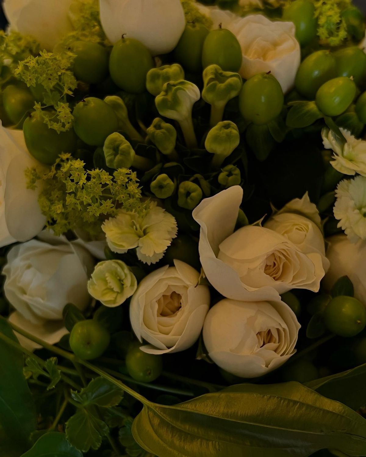 Ayaka Miyoshi HD Images/Photo Gallery Download #7484659