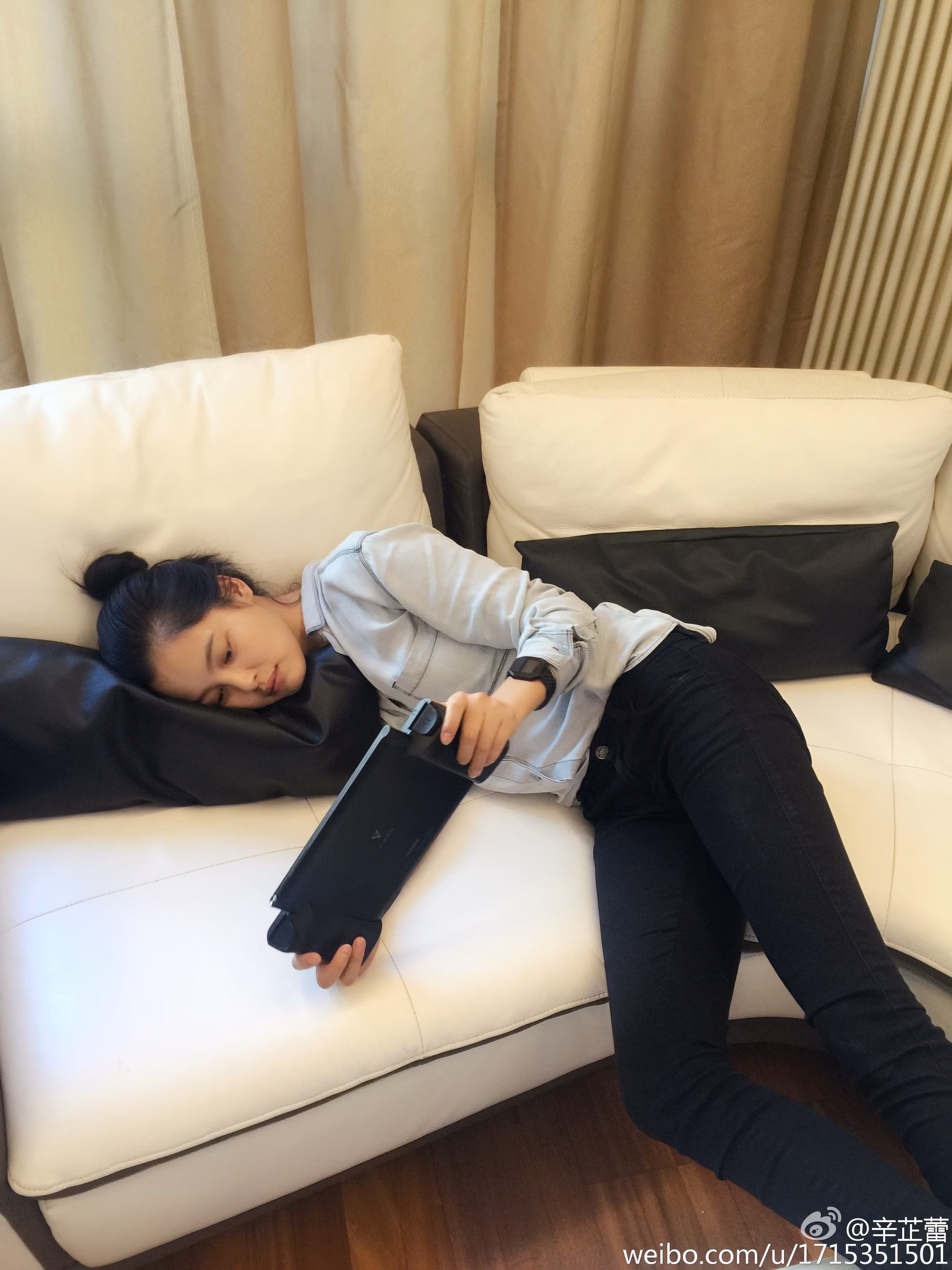 辛芷蕾 高清写真/照片下载 #3446527