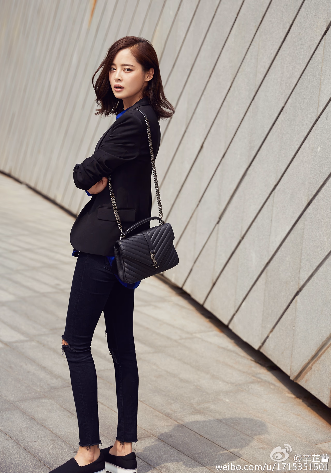 辛芷蕾 高清写真/照片下载 #3468404