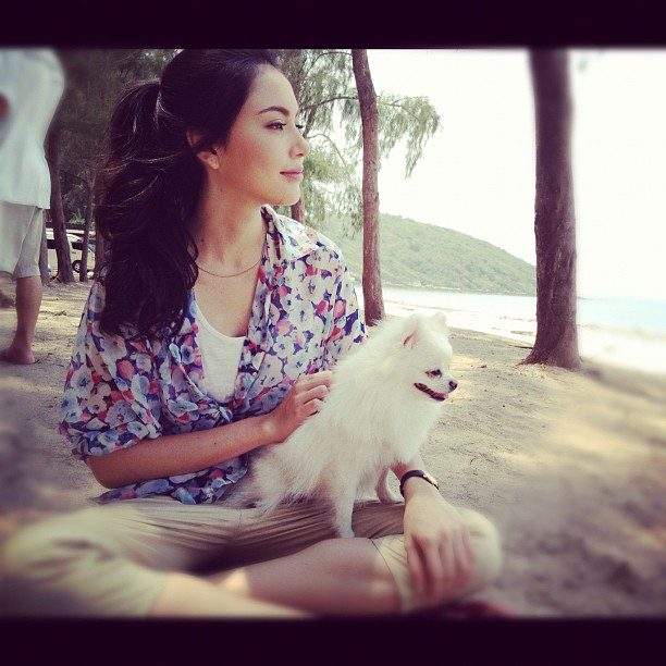 Davika Hoorne HD Images/Photo Gallery Download #7181009