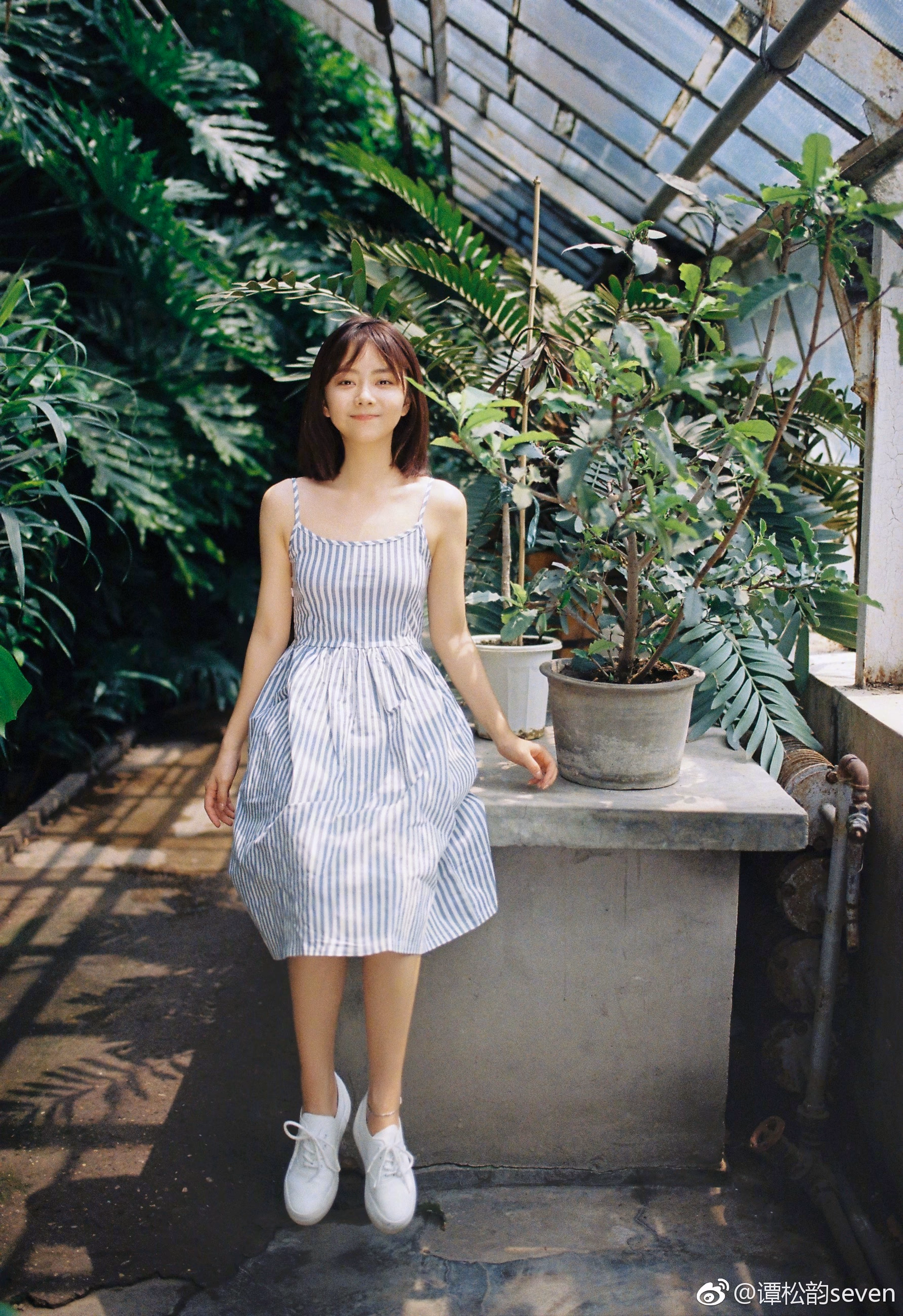 谭松韵 高清写真/照片下载 #3480100