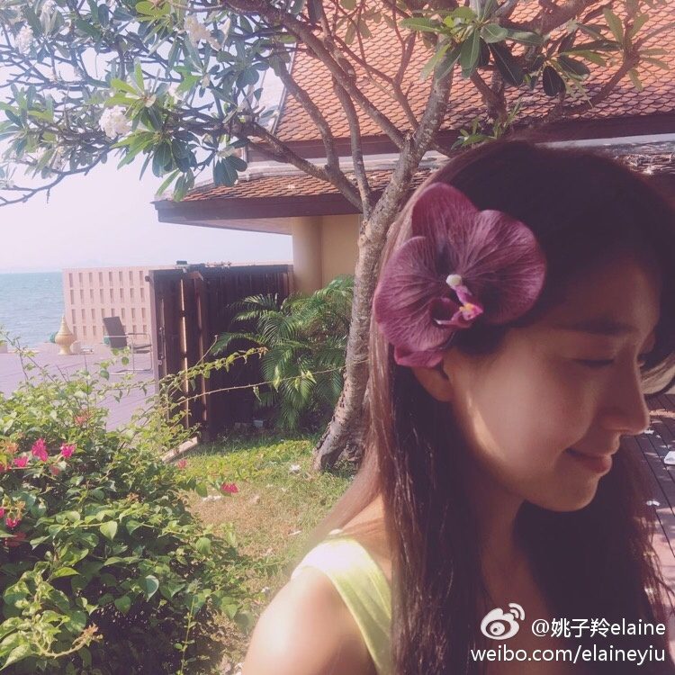 Elaine Yiu HD Images/Photo Gallery Download #1366561