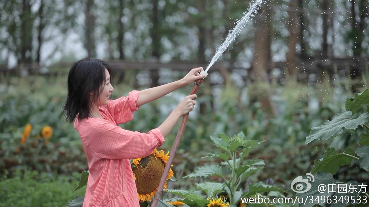 周冬雨 高清写真/照片下载 #1910369