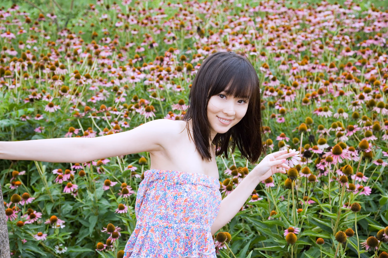 원비 HD 이미지/사진 갤러리 다운로드 #3355152