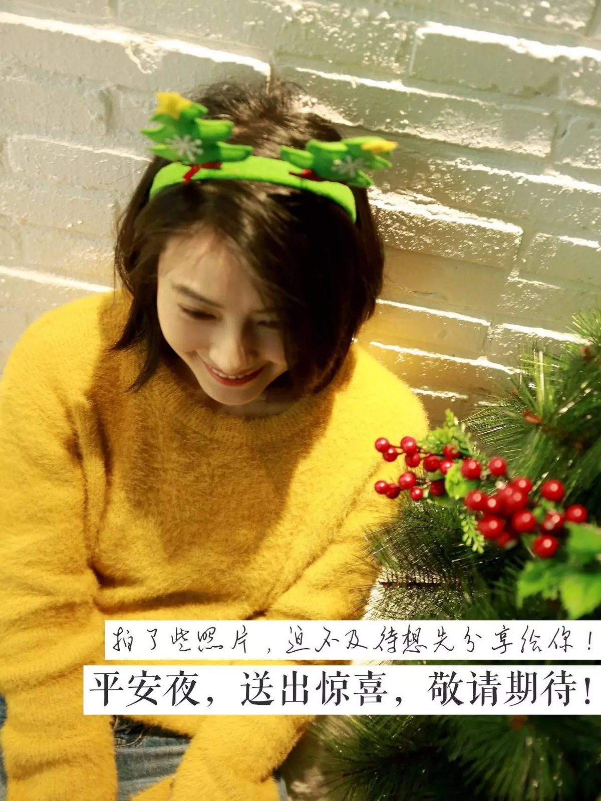 高圆圆 高清写真/照片下载 #669993